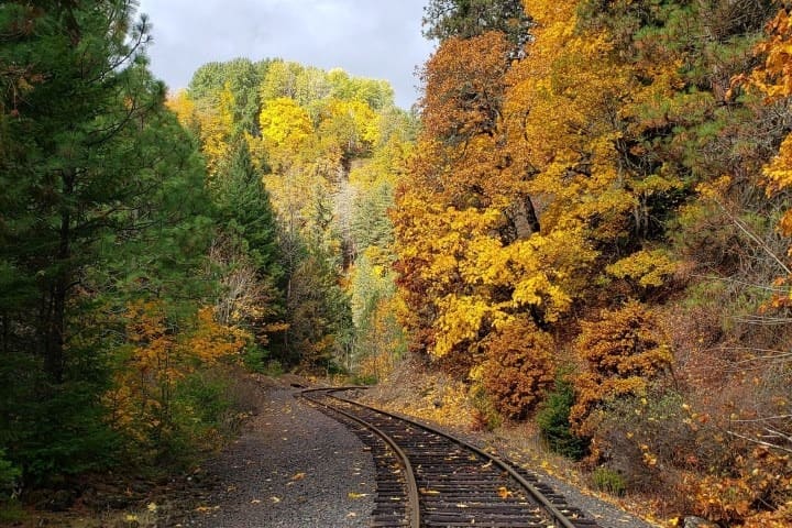 Railroad tracks curve through a forest with vibrant autumn foliage.